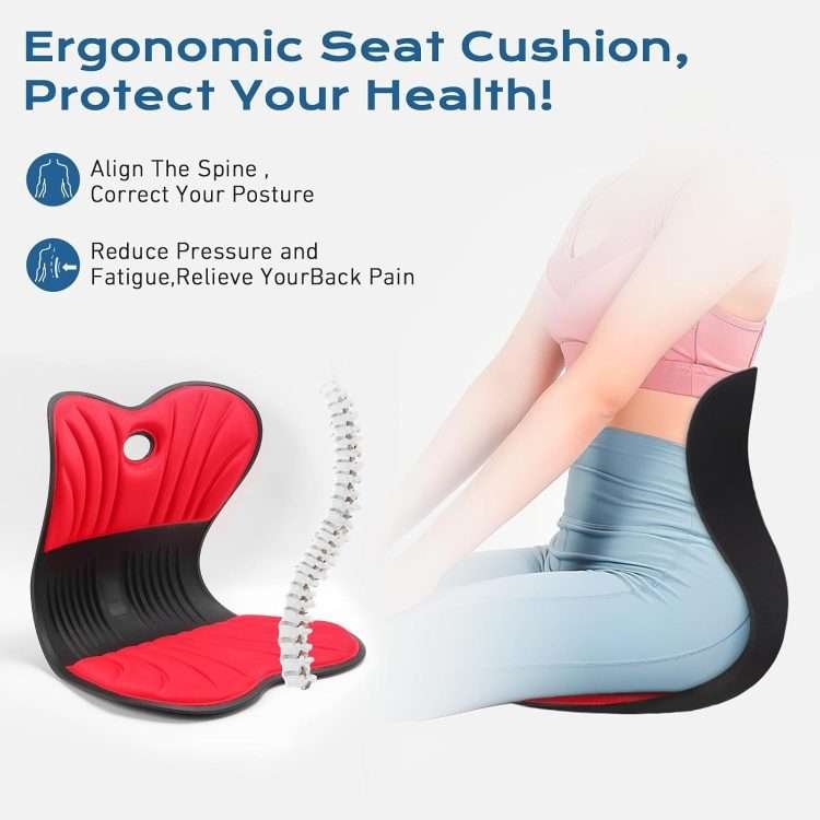 Lumbar Support seat Cushion.Ergonomic Chair Back Support.Good Posture Correction and Back Pain Relief for Car, Chair, Floor Seat. - Image 4